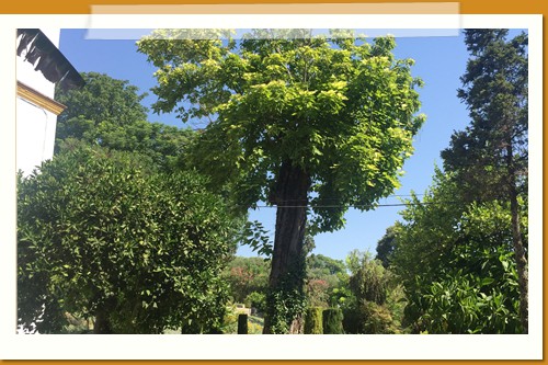 Jardín Valparaíso